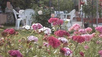 B&B Pergolato di Sotto San Casciano in Val di Pesa Italia